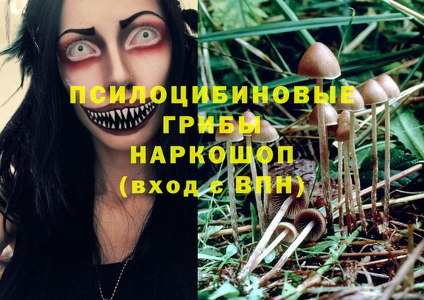 гашишное масло Белокуриха